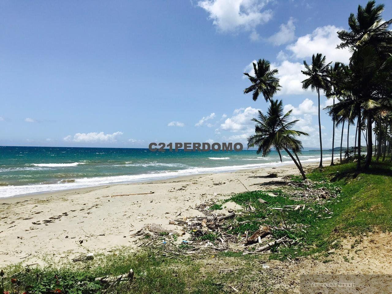 Beachfront Land for Sale, Las Cañas, Gaspar Hernández — photo 1