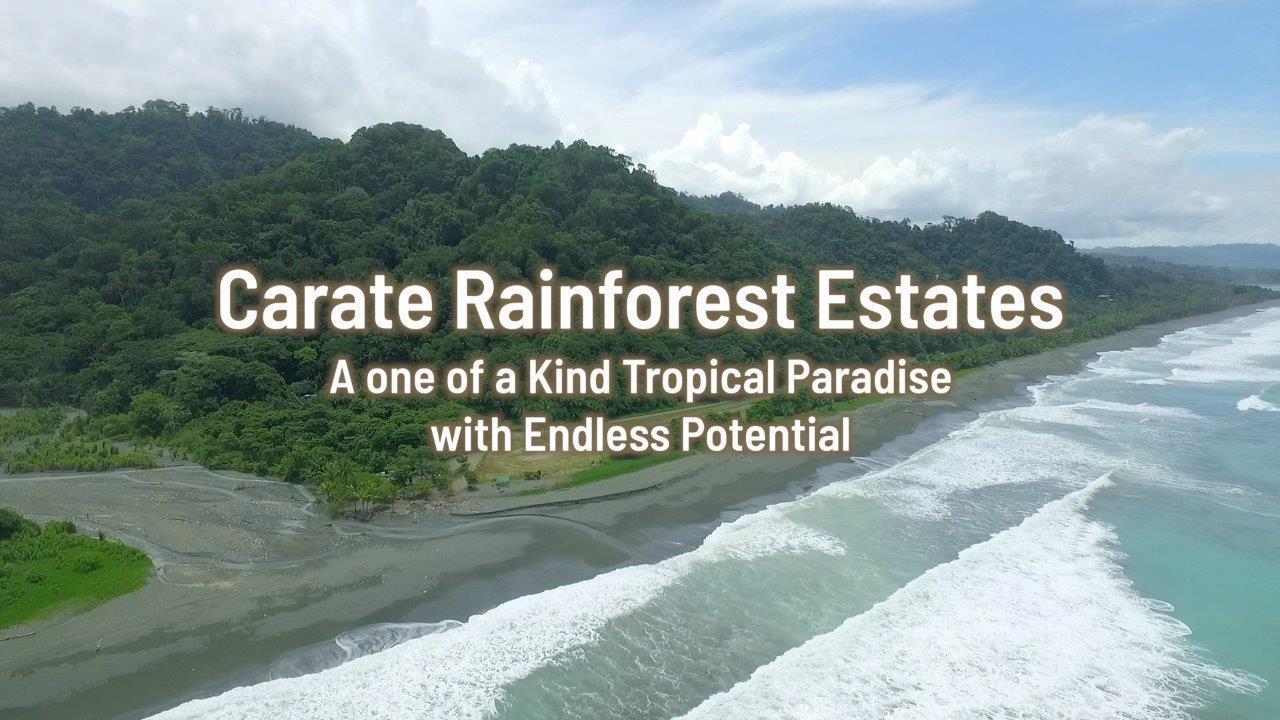 113 Hectares Beachfront Land for Sale in Osa Peninsula — photo 5