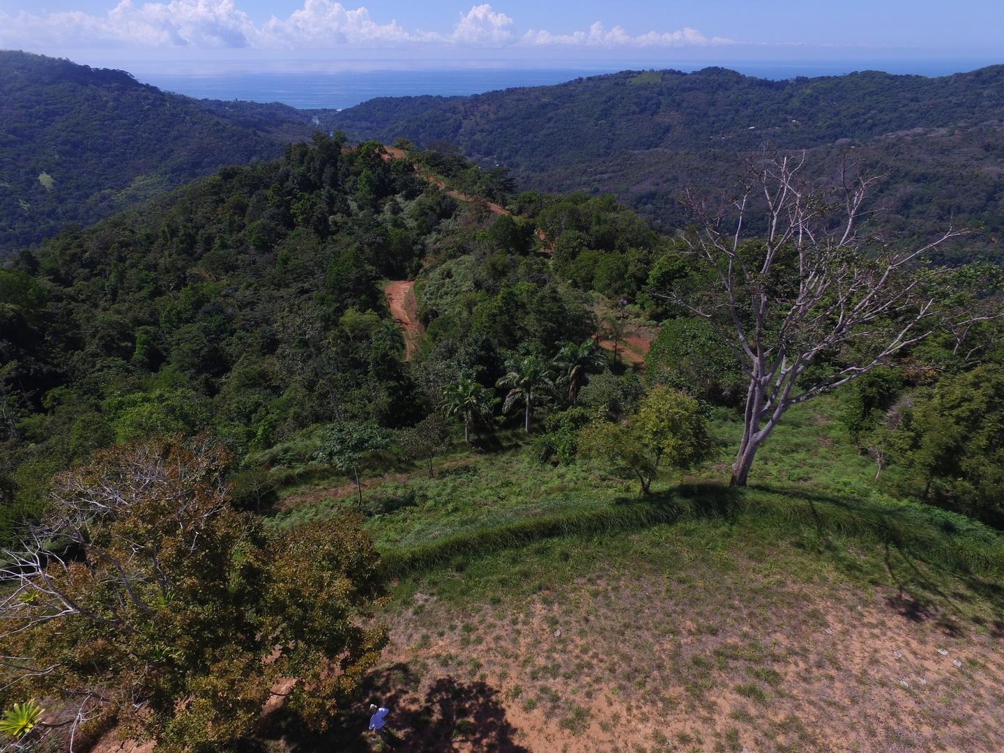 30 Acres of Farm Land for Sale, Platanillo, Puntarenas, Costa Rica — photo 3