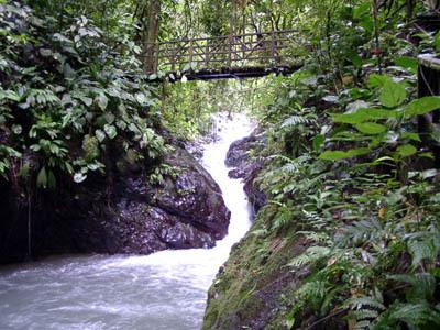 607 Hectare Rainforest Estate — photo 1