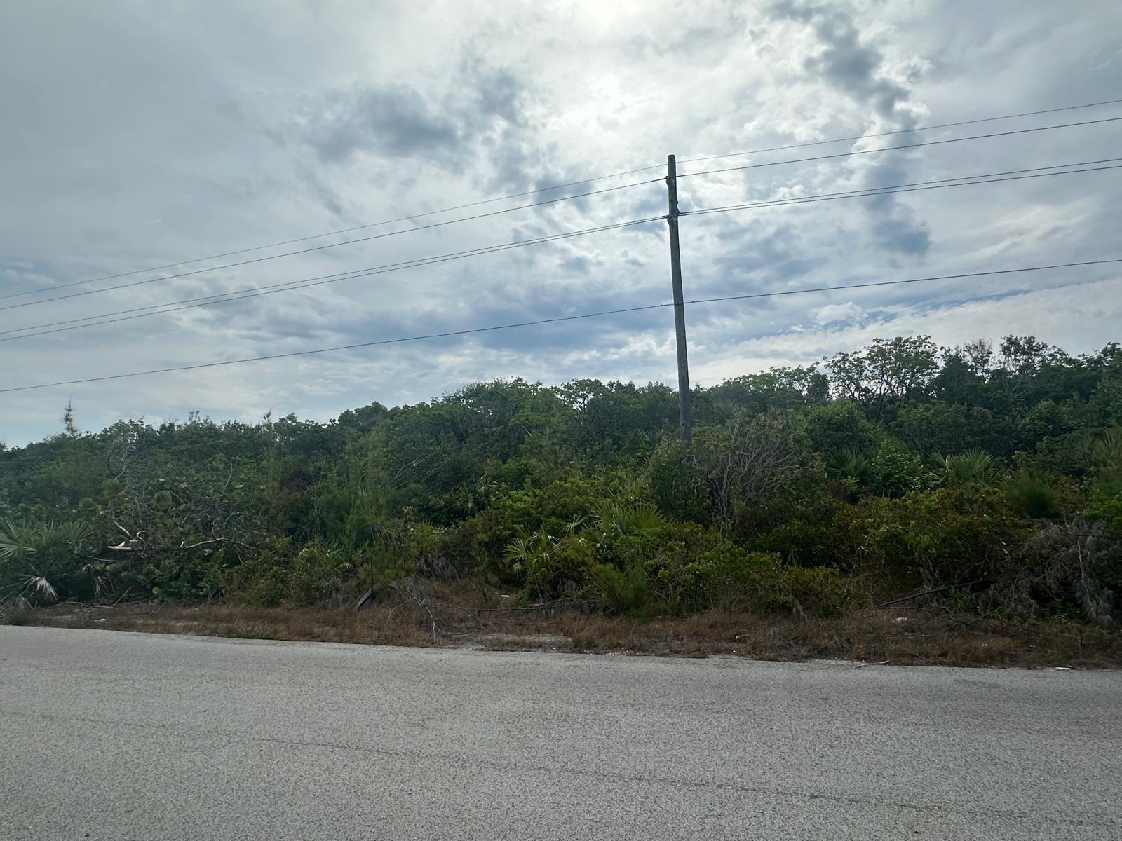 3 LIL BLUFF SAVANNAH SOUN — photo 4