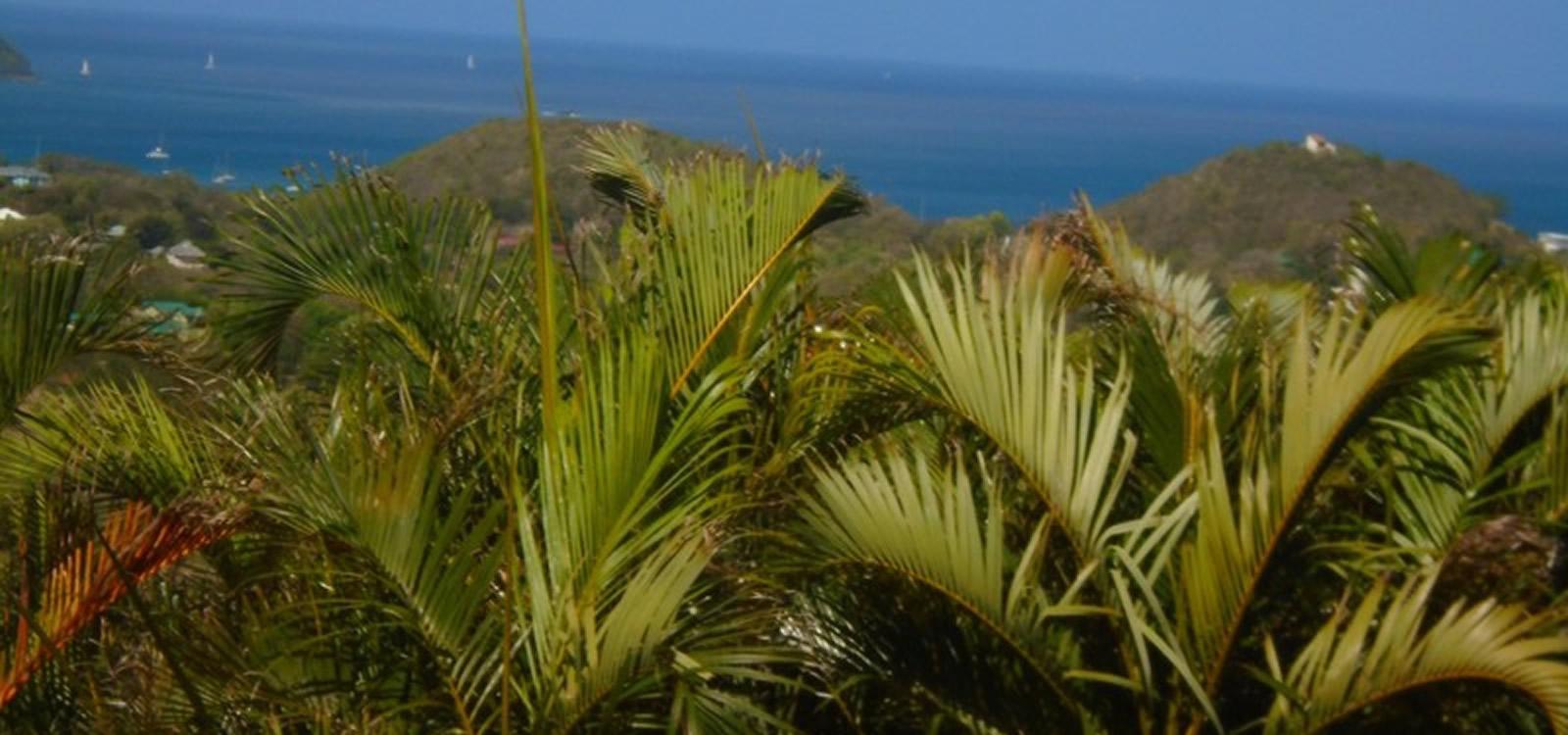 0.8-acre land in Cap Estate, Saint Lucia with sea views — photo 2