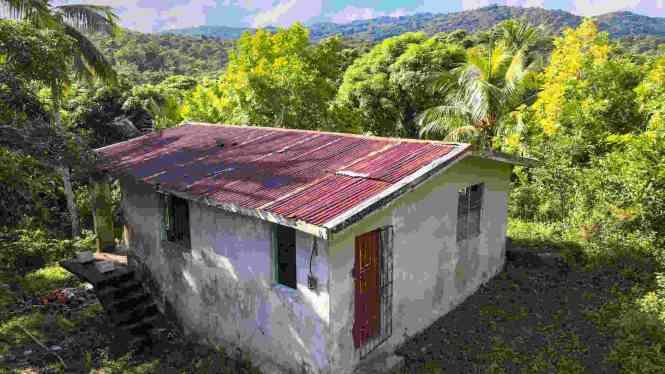 44 Acre Development Land with River Access, Jamaica — photo 1