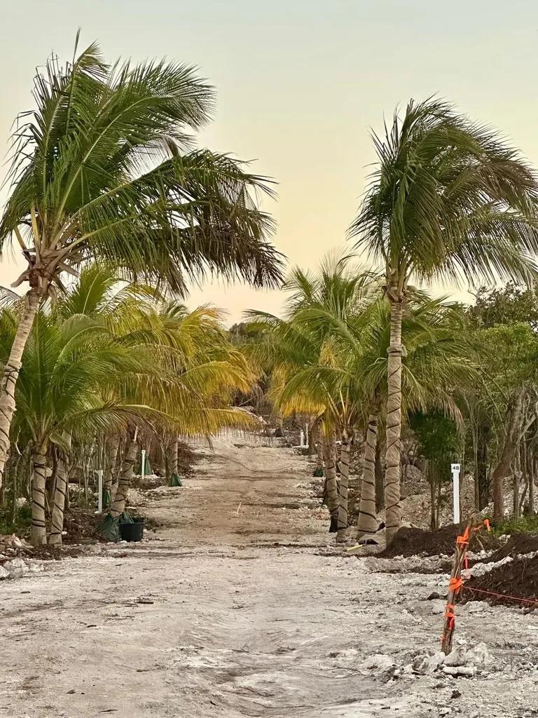 Waterfront land in Hope Town — photo 4