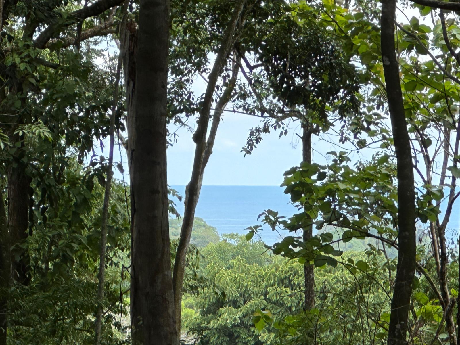 8.8 Acres of Land for Sale in Dominicalito, Puntarenas, Costa Rica — photo 1