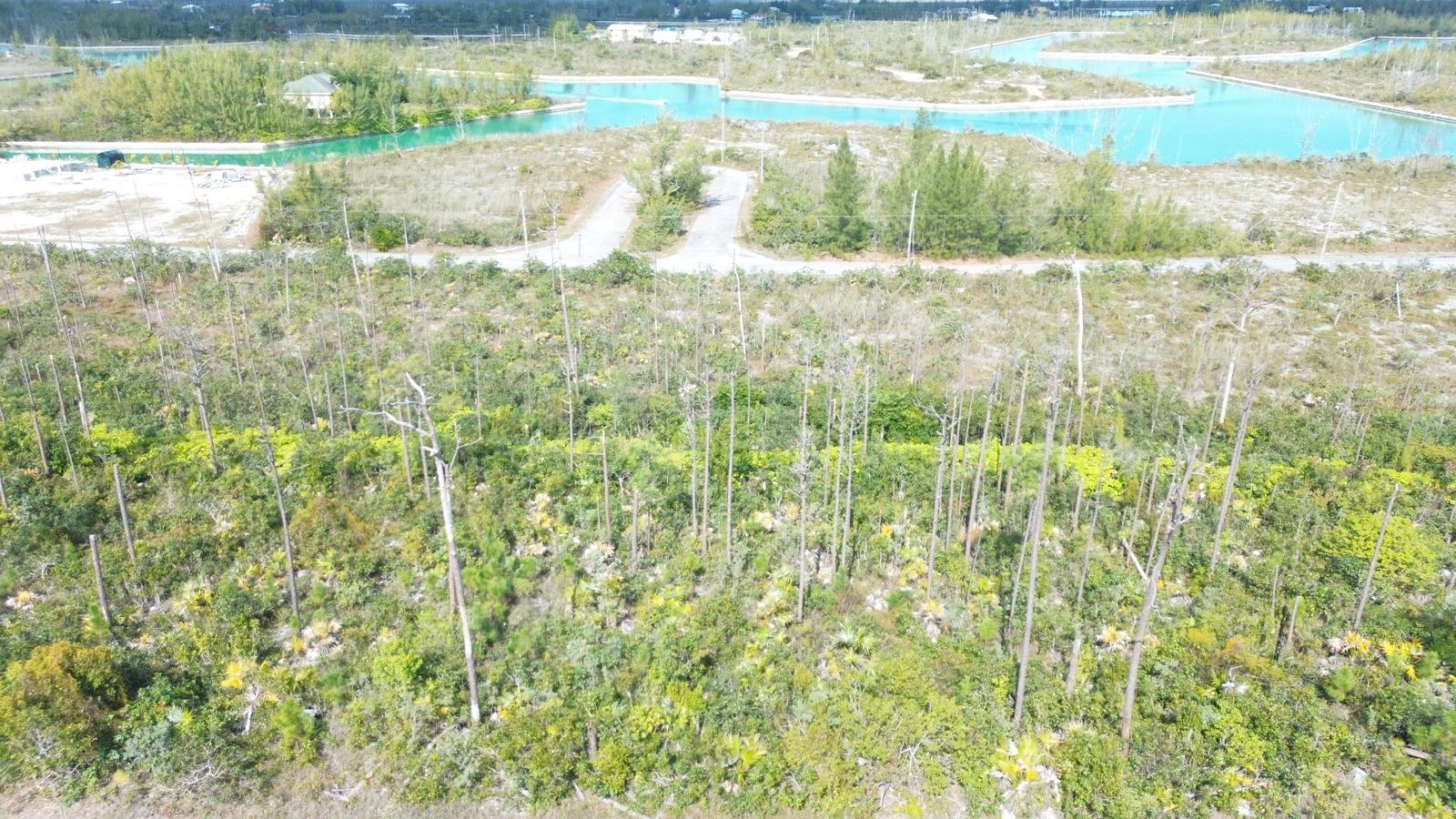 Bristol Bay Property With A View — photo 5