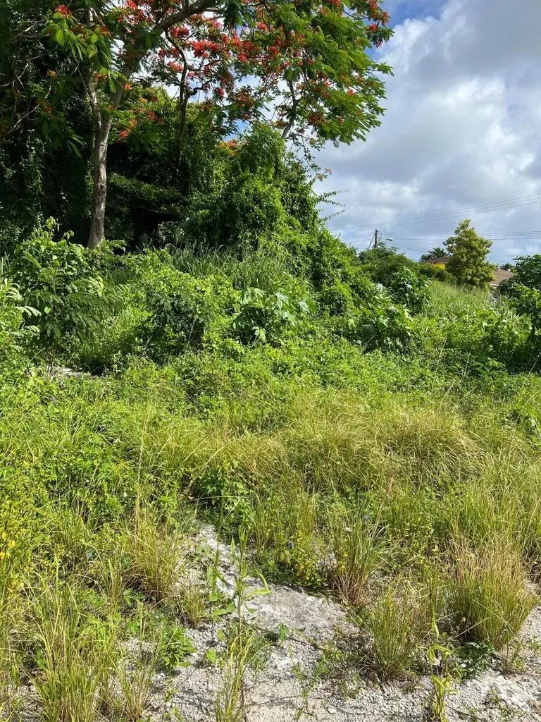 Residential land lot in Oakes Field — photo 5
