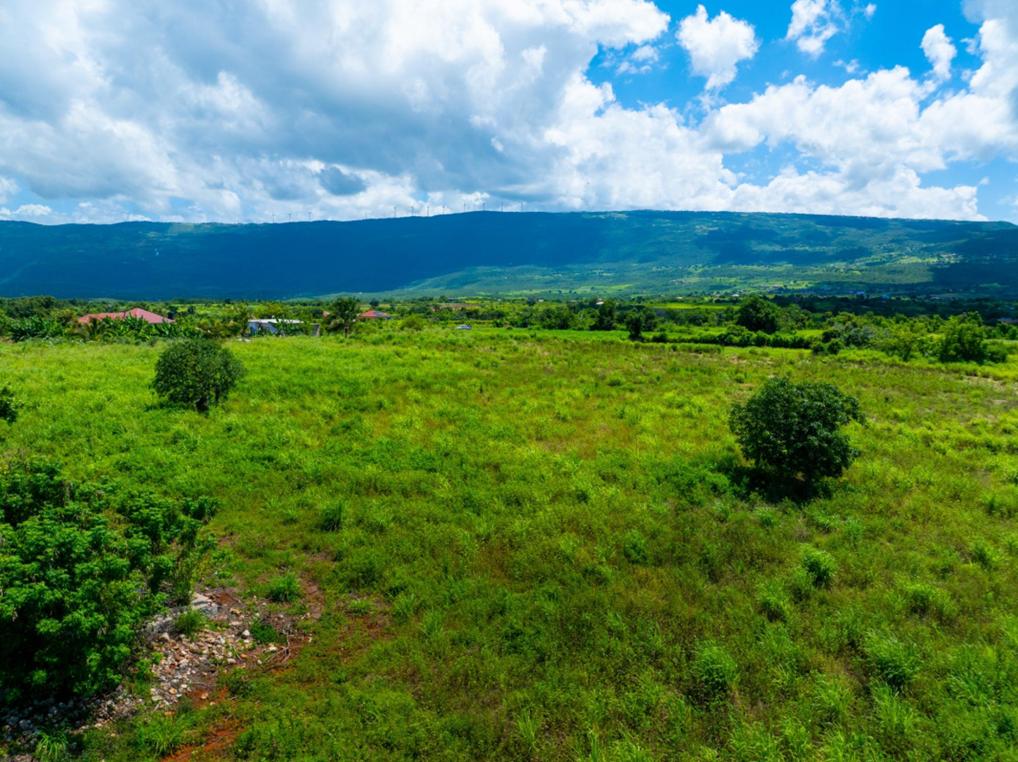 Pedro Plains 2.7 Acre Opportunity — photo 3