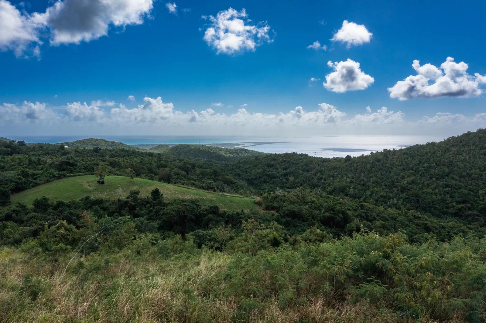 7.27 Acre Lot — photo 1