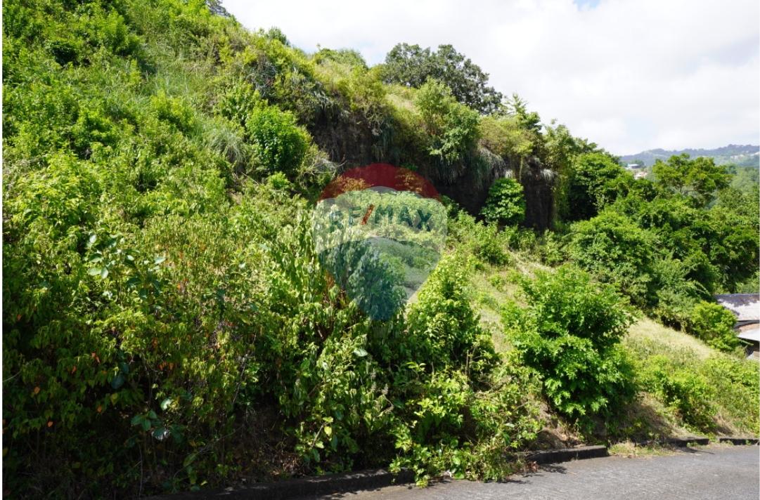 Investment Opportunity: Prime Building Lot in Arnos Vale — photo 4