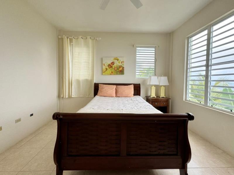 5-bedroom house in Fahie Hill, Tortola with ocean view — photo 3