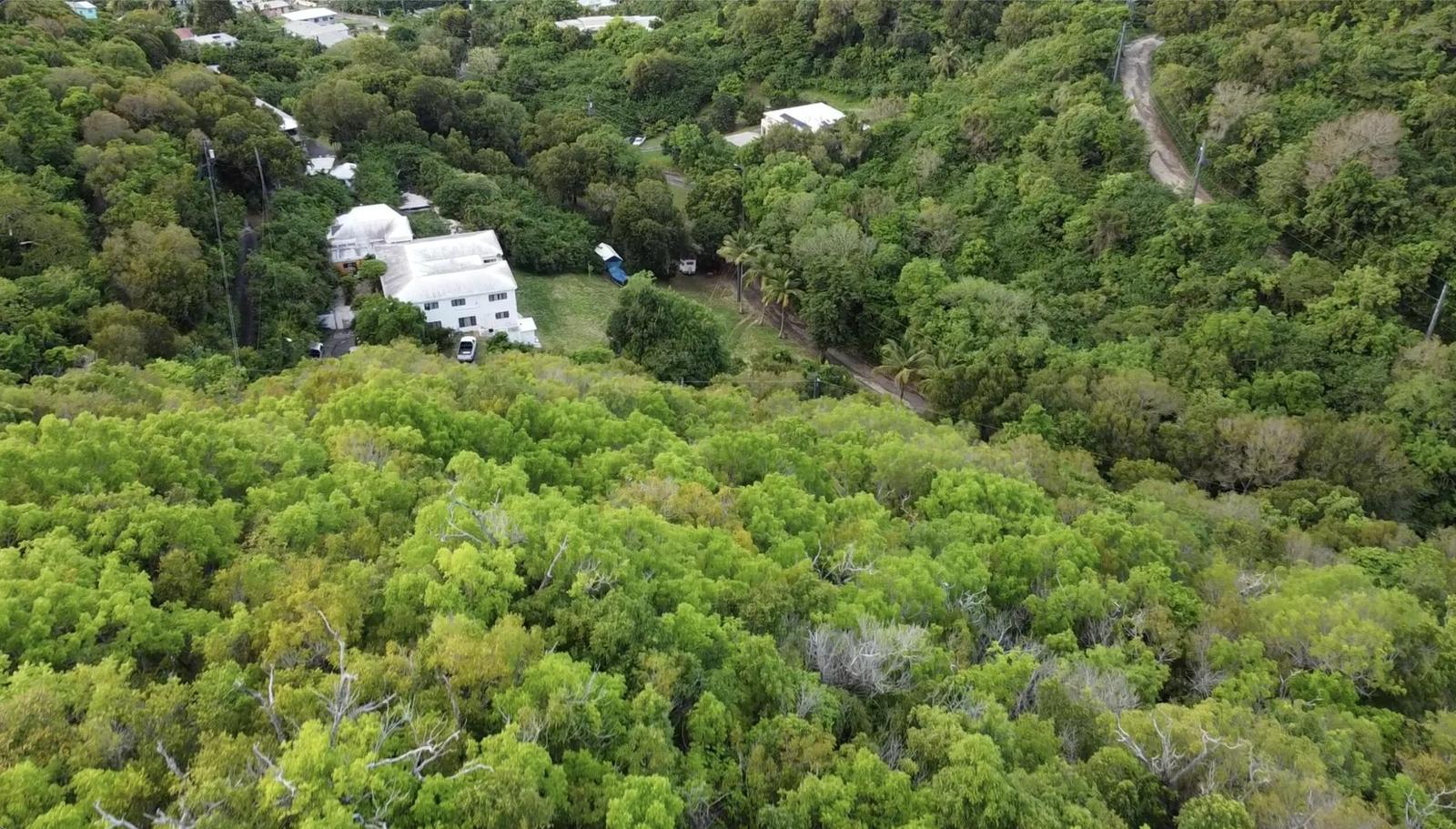 1.99 Acre Homesite with Views in Bellevue Co — photo 3