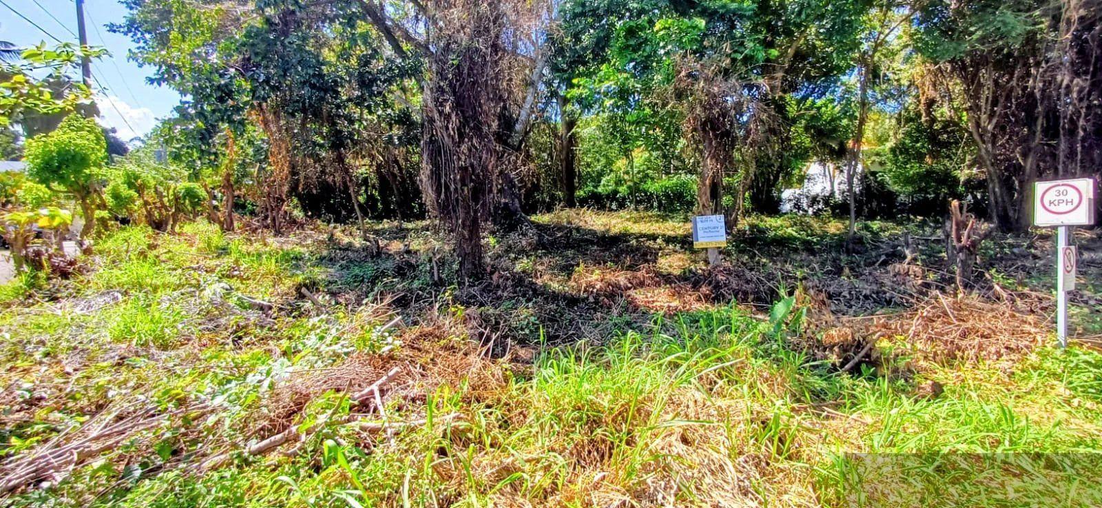 Residential Lot in Perla Marina, Cabarete — photo 5
