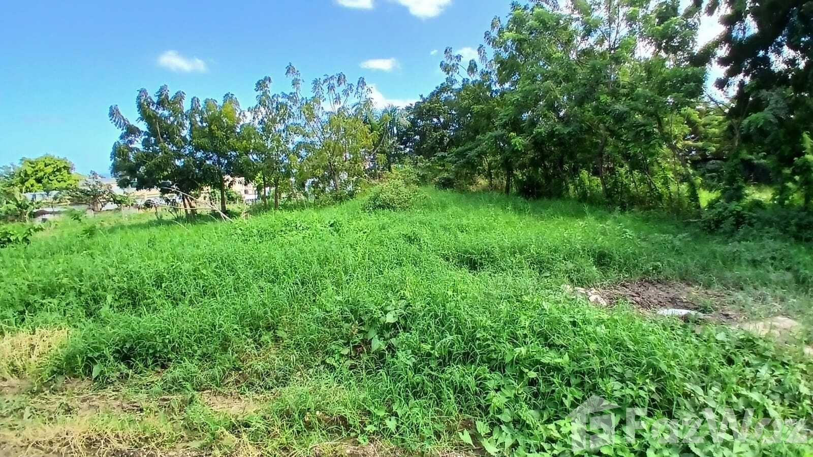 Land for sale in Puerto Plata project, San Felipe De Puerto Plata, Dominican Republic — photo 3