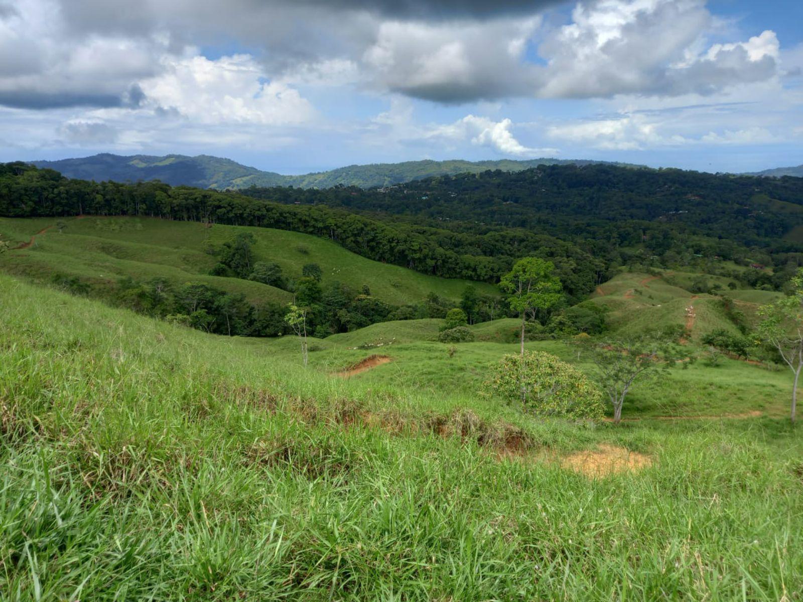 46 Hectares of Land for Sale in Platanillo, Dominical, Costa Rica — photo 4