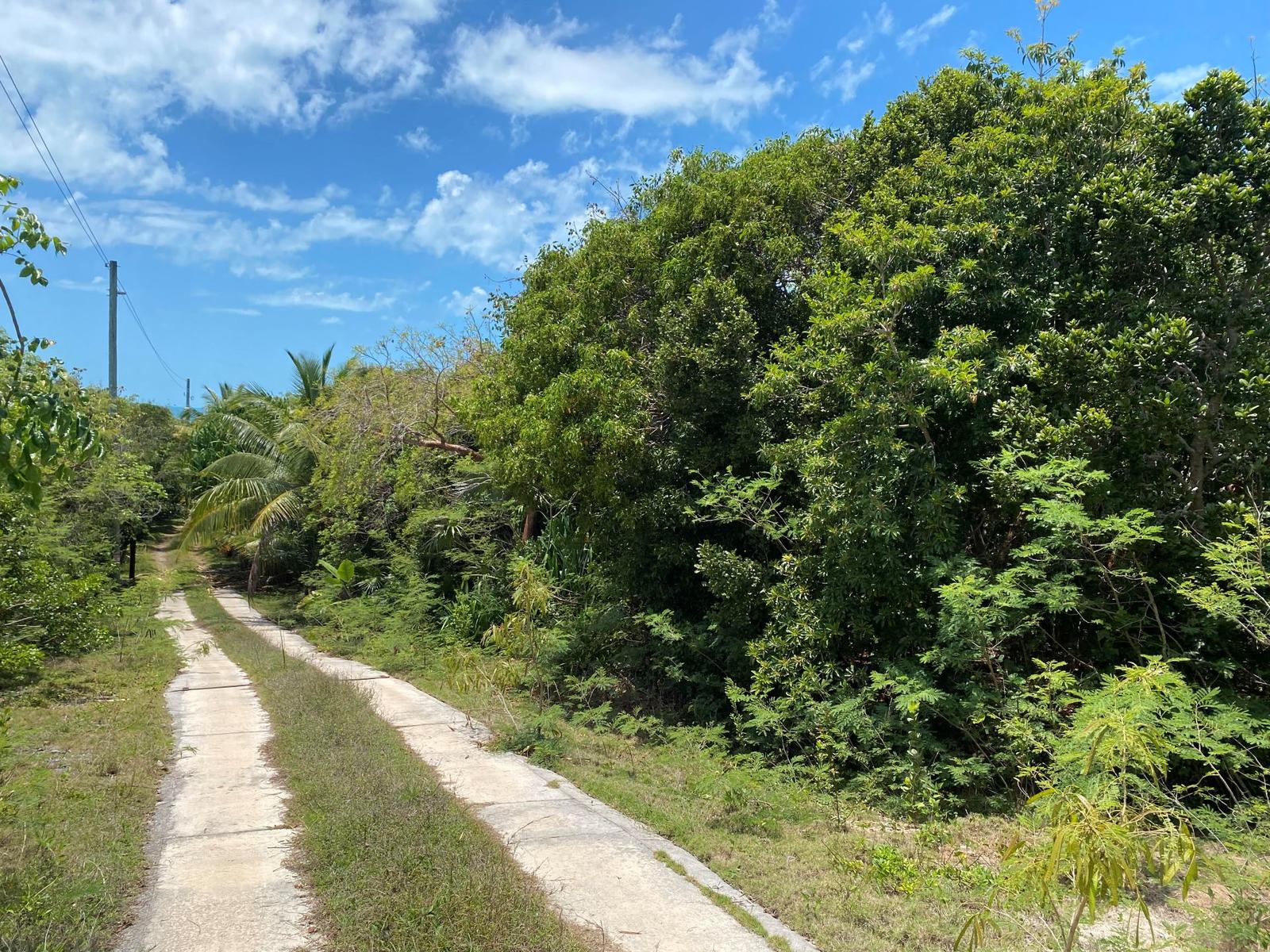 Gregory Town Acre Lot - Mls 67130 — photo 5