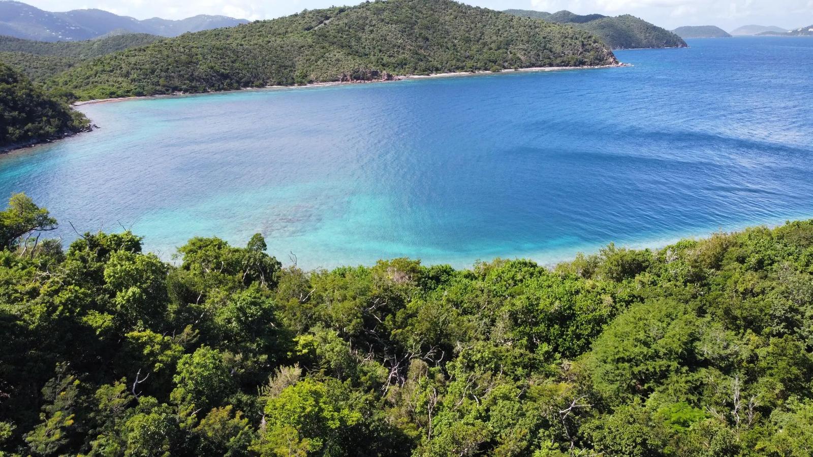 1.07 Acre Lot in Dreeket's Bay Estate — photo 3