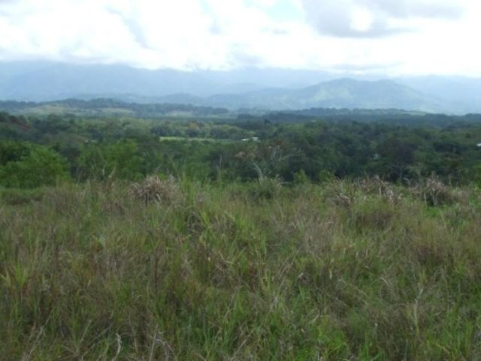 61 Acres of Development Land for Sale in Quepos, Puntarenas, Costa Rica — photo 2
