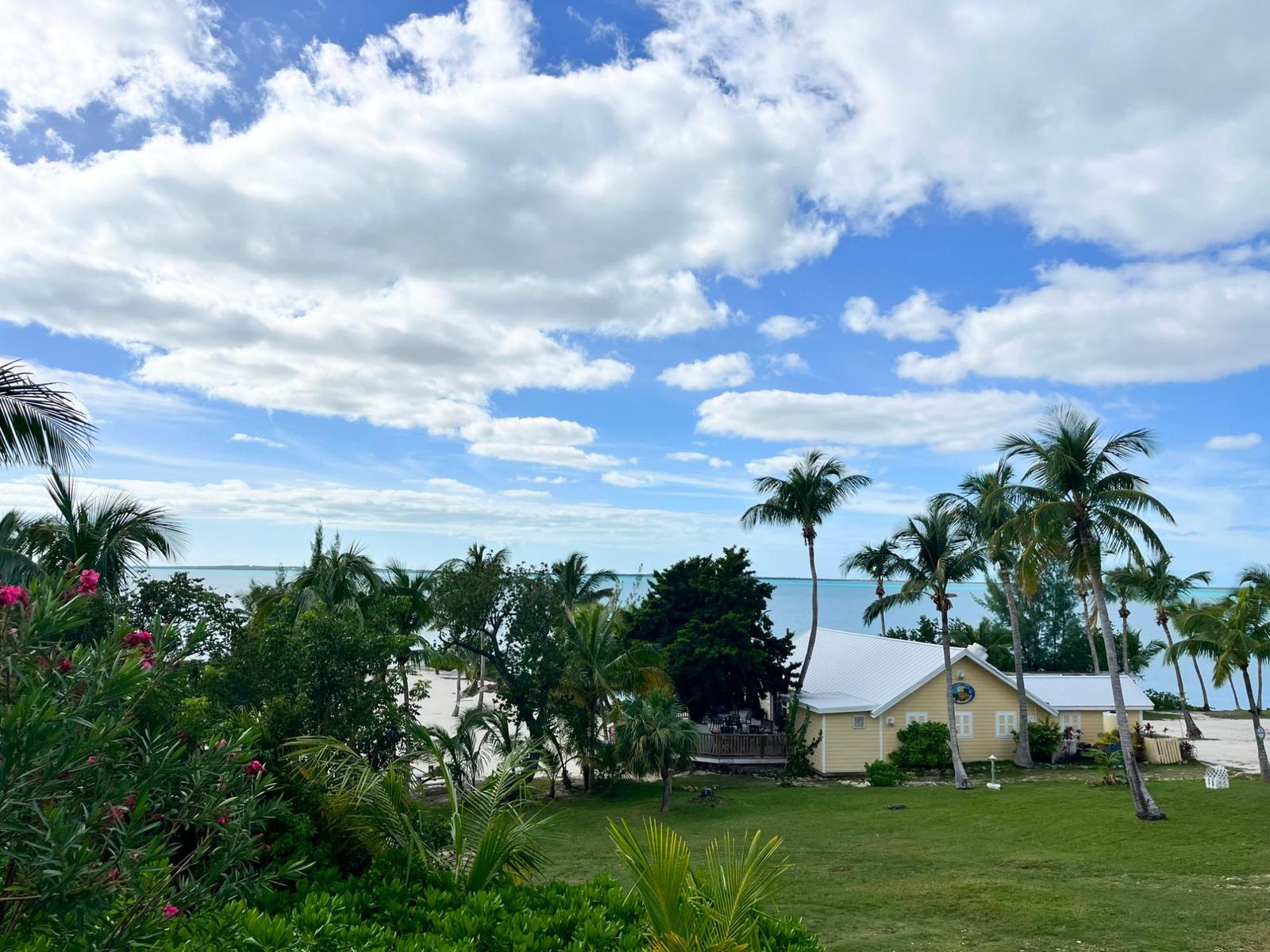 LA CONCHITA — photo 4
