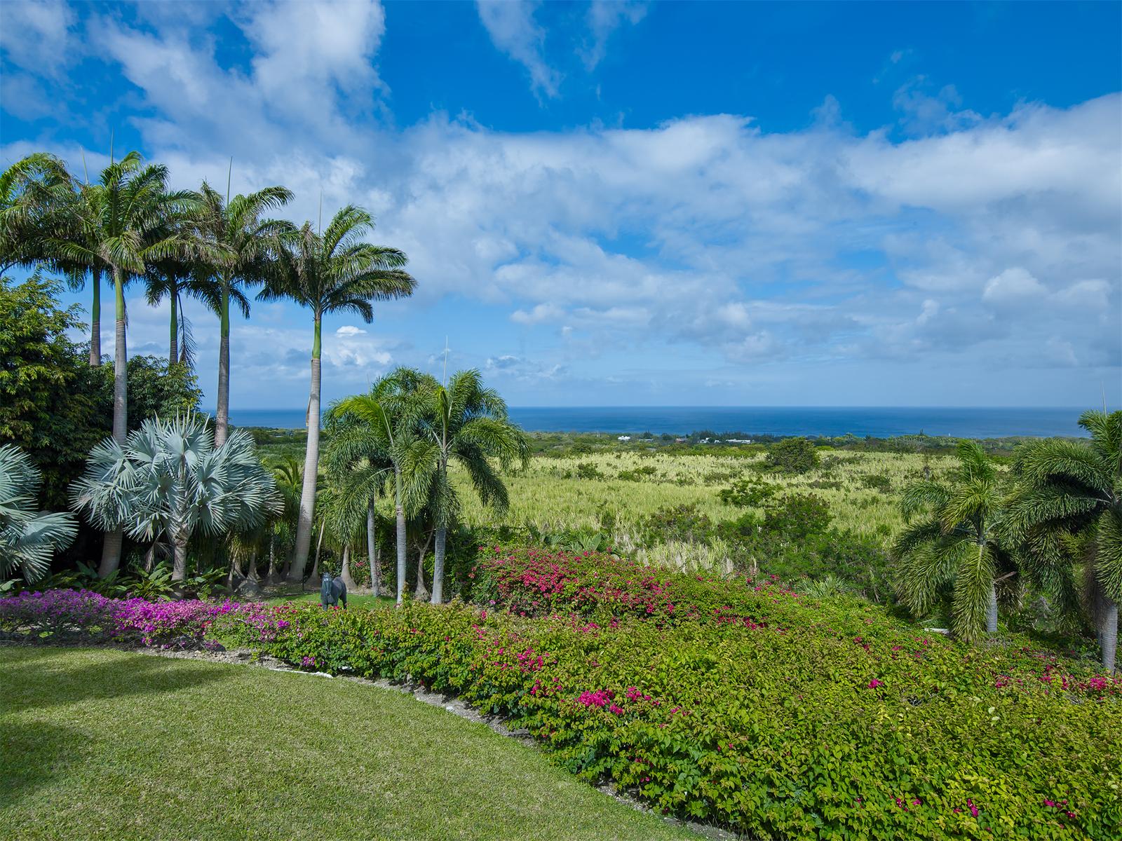 The Ridge Estate for Sale — photo 3