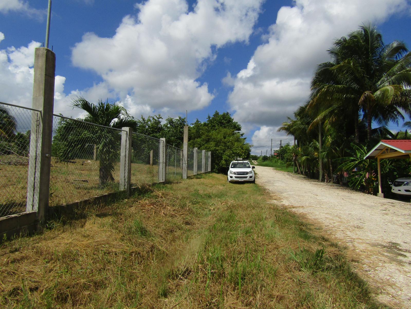 #2503 – A VERY LARGE RESIDENTIAL LOT IN SAN IGNACIO — photo 2
