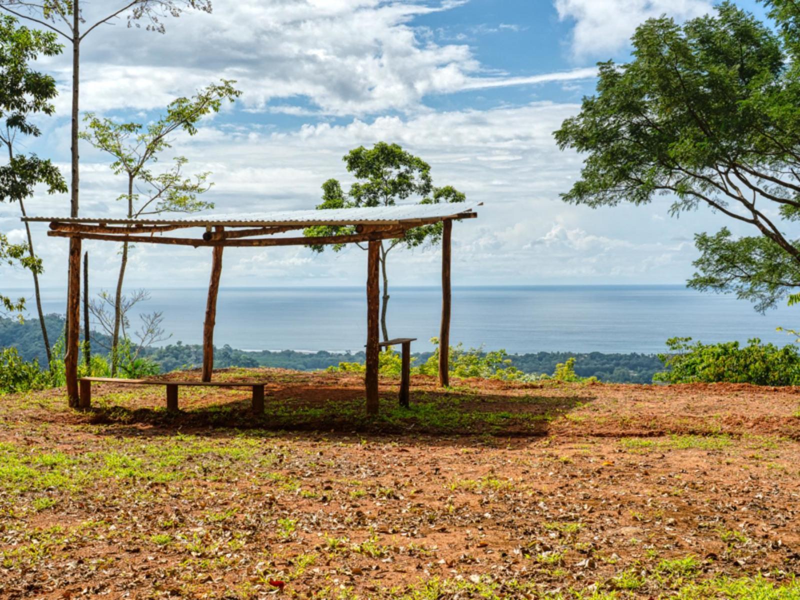 7.87 Acre Land Plot for Sale in Matapalo, Puntarenas, Costa Rica — photo 1