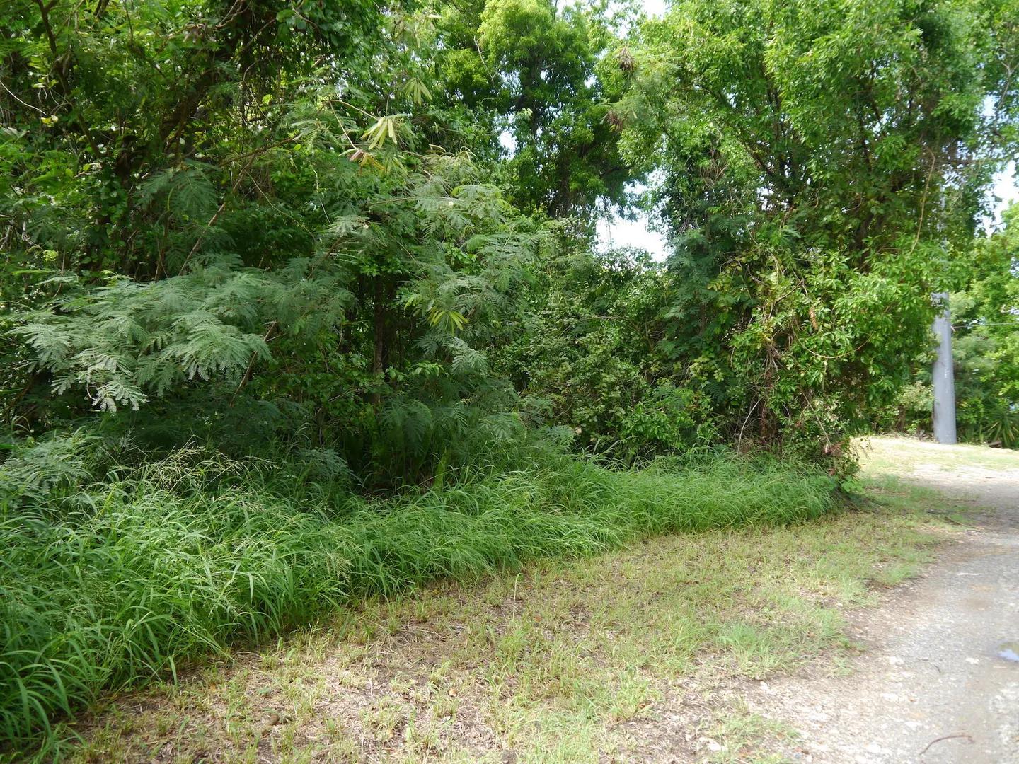 11a Little Princesse Co Homesite — photo 1