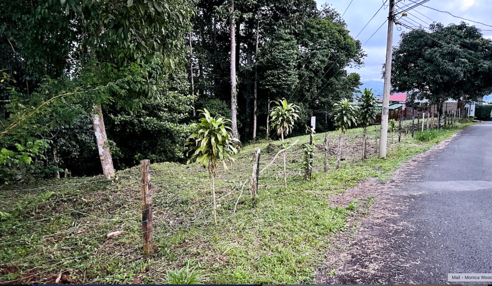 Beautiful lot for sale in San Isidro del General Costa Rica — photo 1
