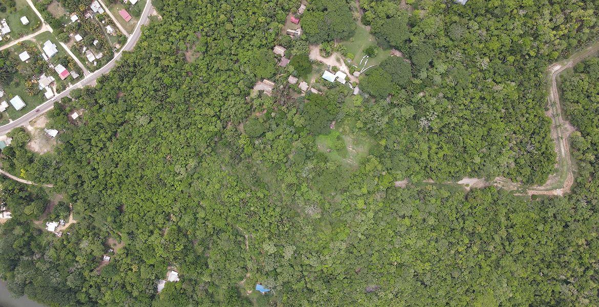 1/4 Acre Lush Jungle Lots — photo 5