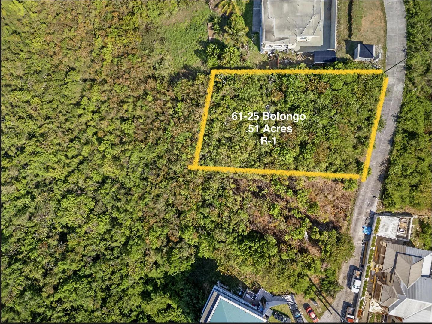0.51 Acre Homesite Lot in St. Thomas — photo 2