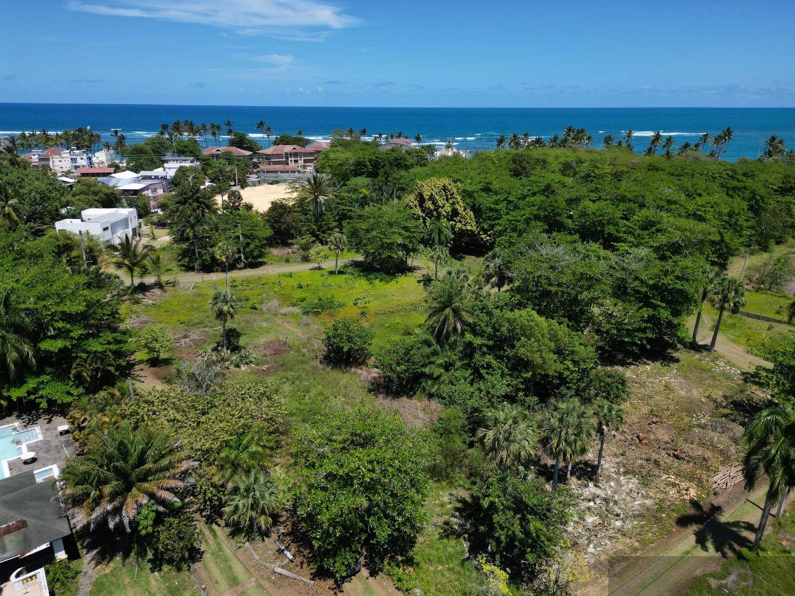 Residential Lot – Green Garden, Punta Goleta, Cabarete — photo 4