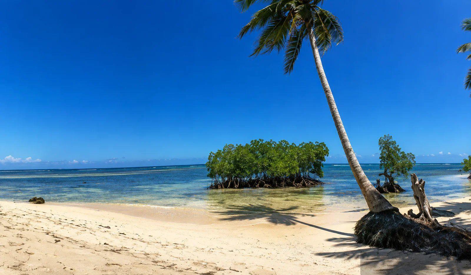 Beachfront Development Land in El Portillo, Las Terrenas — photo 4