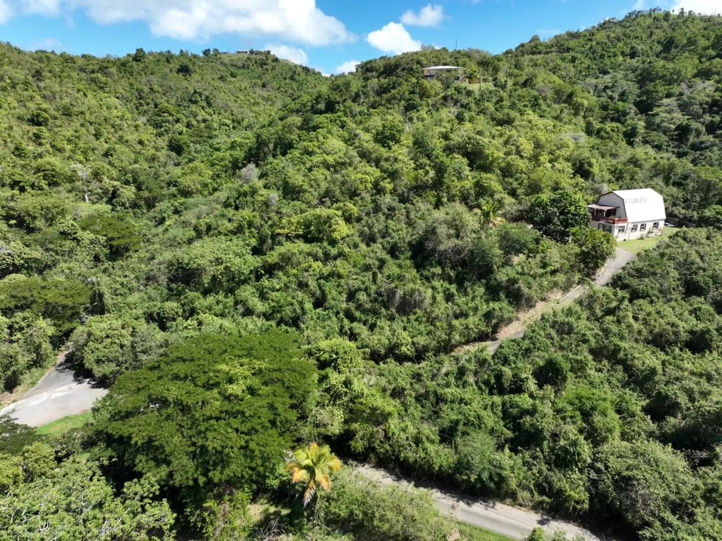 0.69 Acre Lot in Little La Grange, US Virgin Islands — photo 3