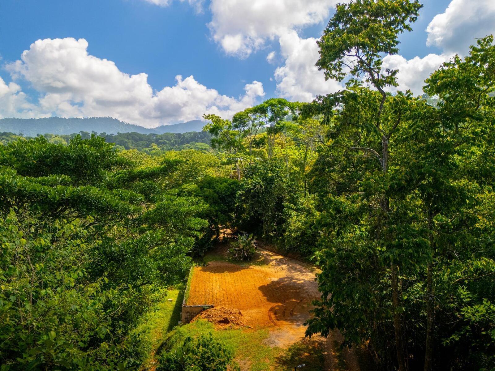 2 Bedroom Ocean-View Home for Sale, Uvita, Puntarenas, Costa Rica — photo 4