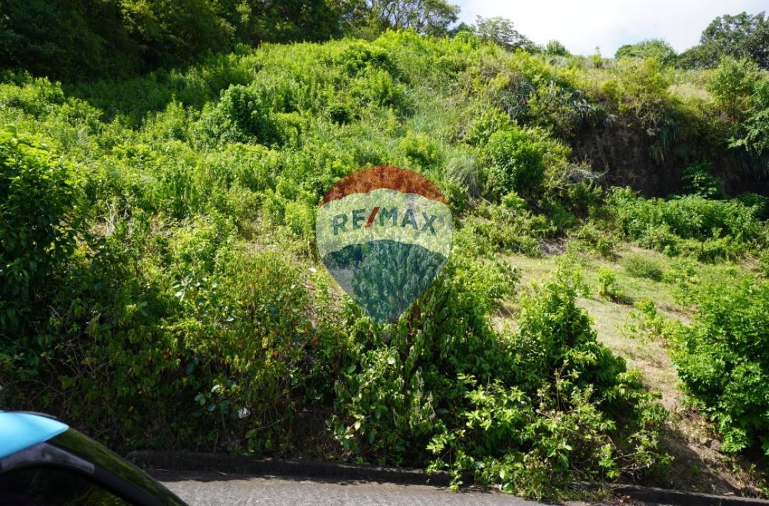 Investment Opportunity: Prime Building Lot in Arnos Vale — photo 3