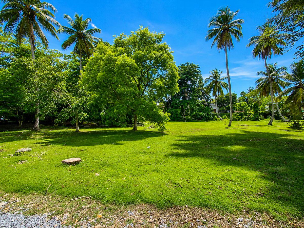 1,800 m² Buildable Plot Just 80 m from the Beach – Portillo, Las Terrenas — photo 1