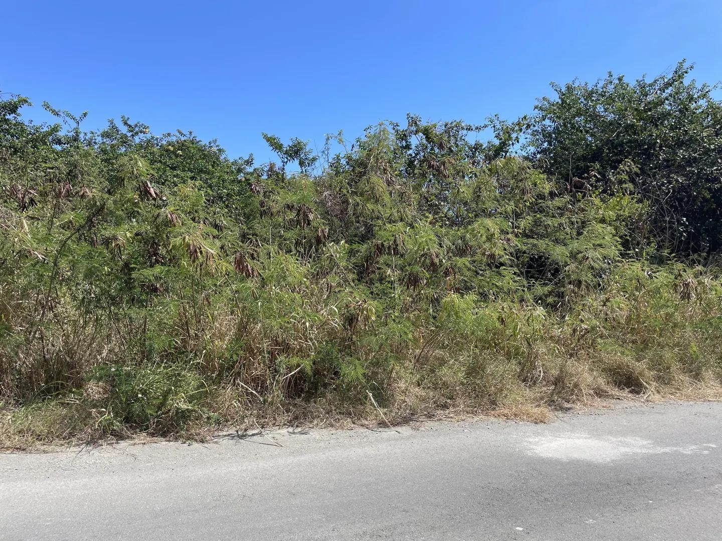 0.29 Acre Homesite Lot in US Virgin Islands — photo 3