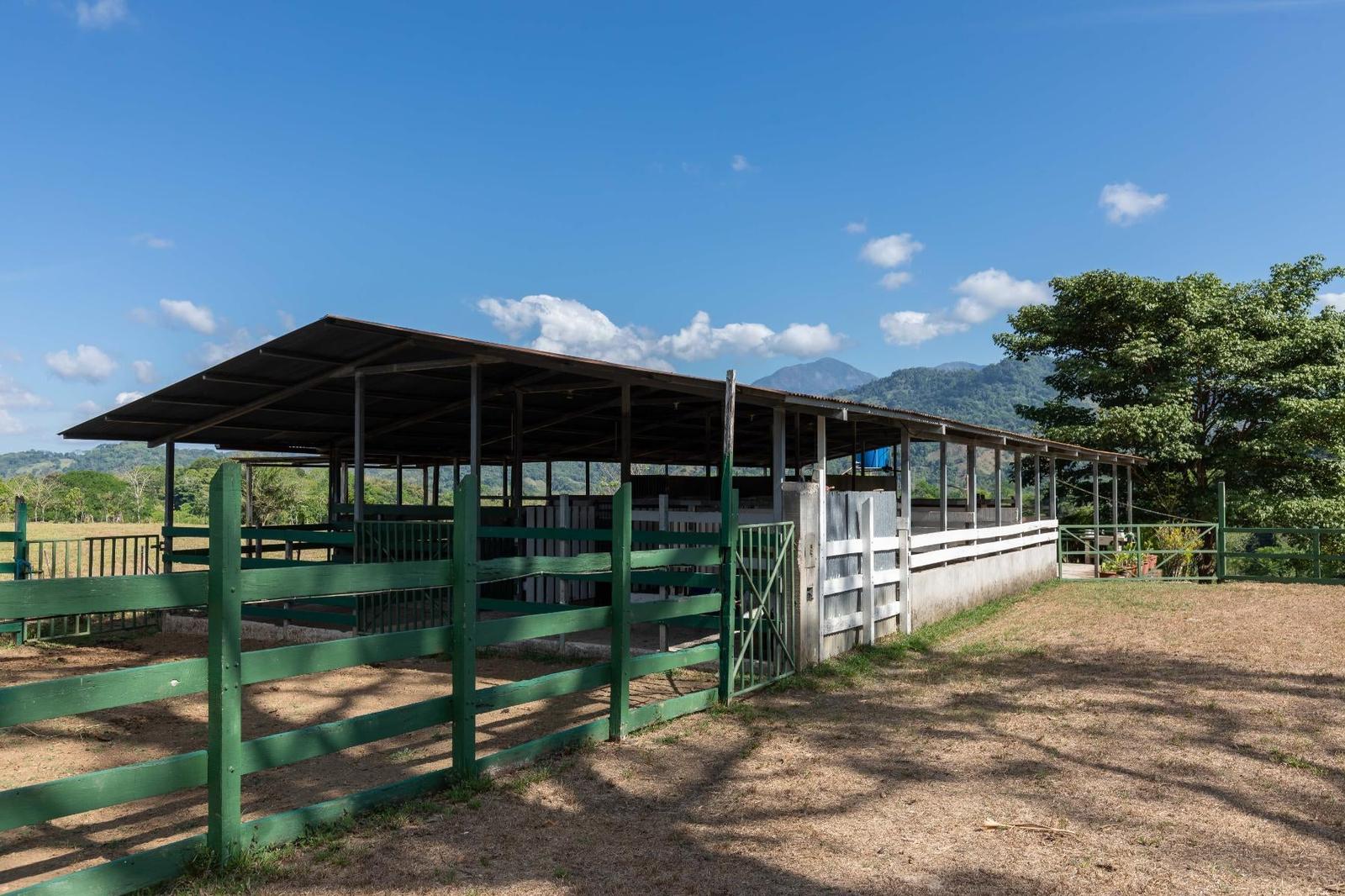 4 Bedroom Hacienda-Style Home for Sale, Naranjito, Quepos, Puntarenas, Costa Rica — photo 1