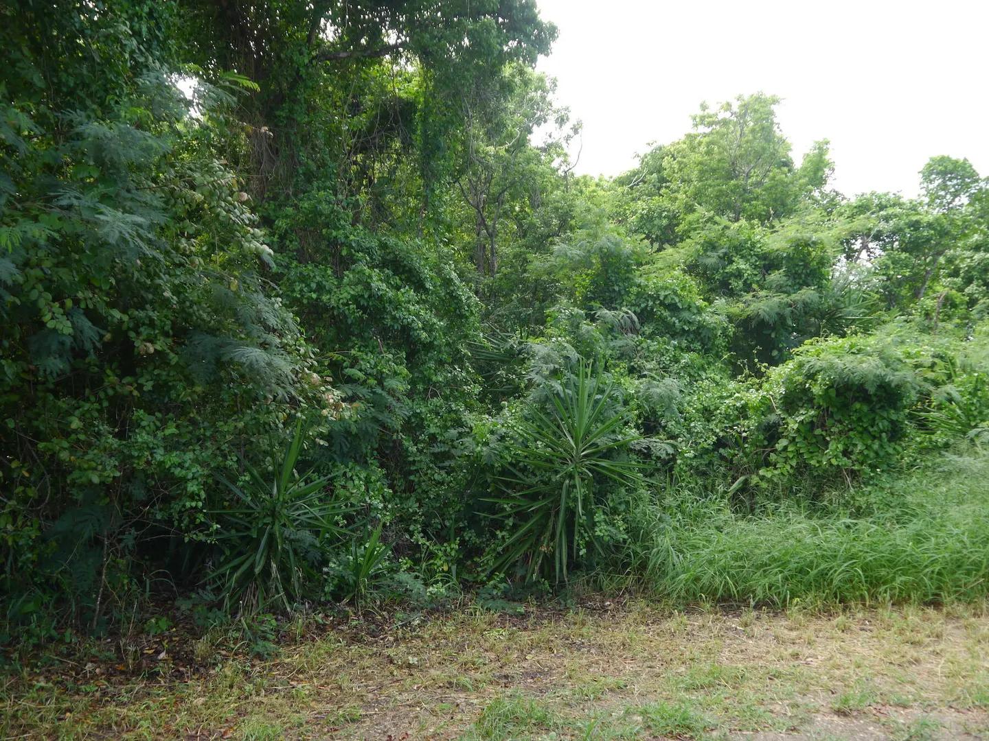 11a Little Princesse Co Homesite — photo 2