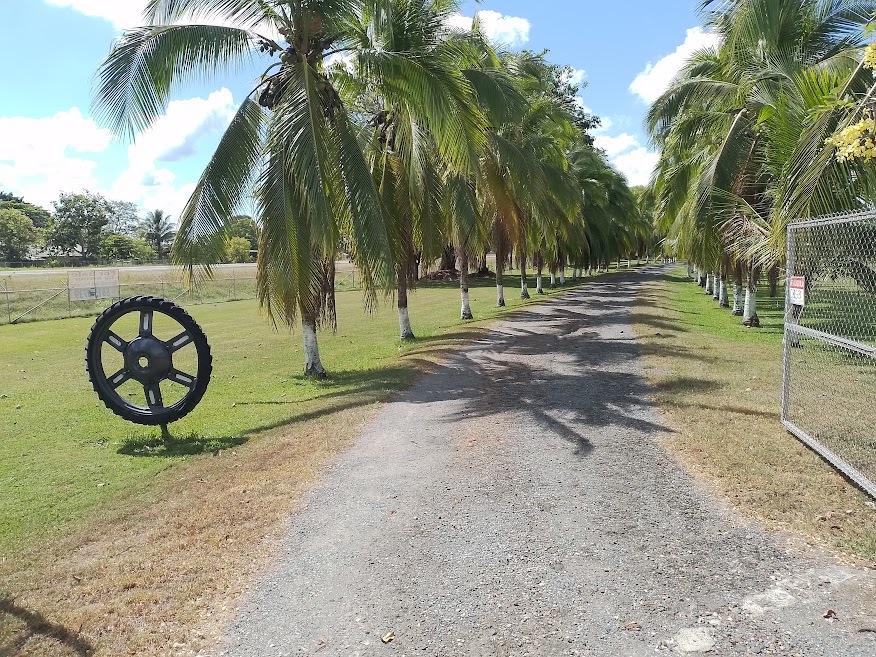 3 Bedroom Home for Sale, Palmar Sur, Golfito, Puntarenas, Costa Rica — photo 2