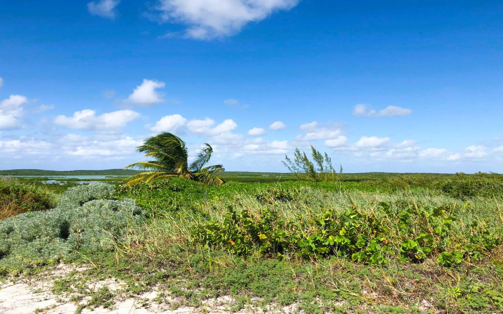 Vacant Land for sale - Columbus Landings 3, Block 36, Lot 9, Bahamas — photo 2