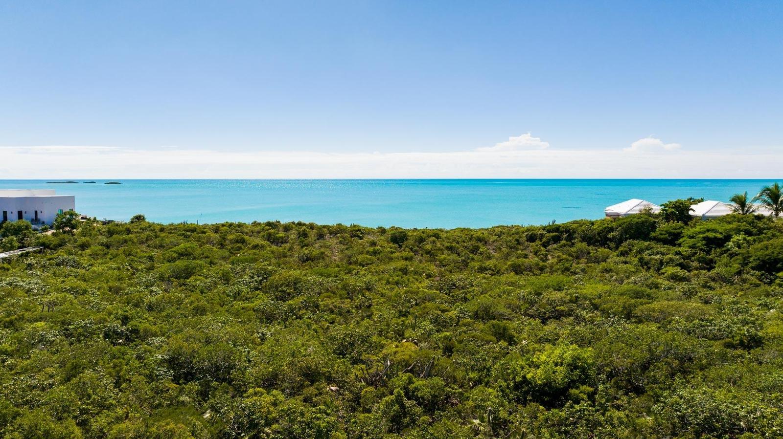CLOSE TO THE OCEAN - Vacant Land Lot in Turtle Tail, Providenciales, Turks and Caicos — photo 3