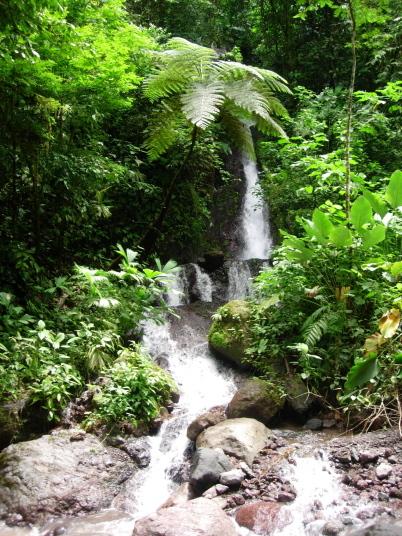 607 Hectare Rainforest Estate — photo 5