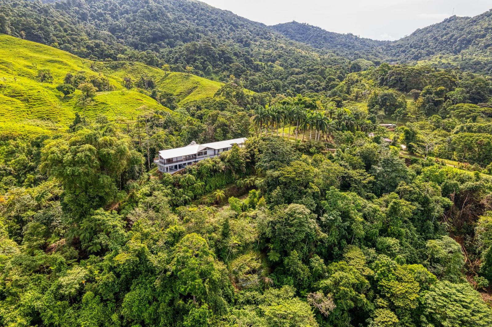 3 Bedroom Ocean-View Home for Sale, Tinamastes, San Jose Province, Costa Rica — photo 4