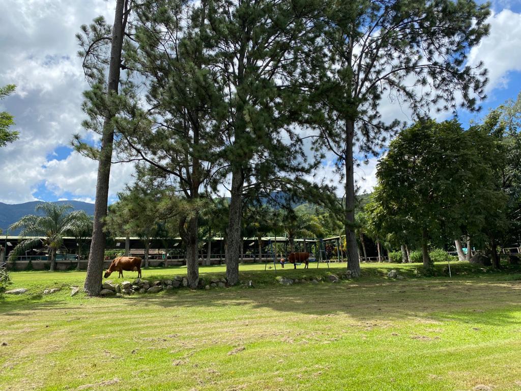 3,600 Sq M Lot for Sale, Salitral, Santa Ana, San Jose, Costa Rica — photo 2