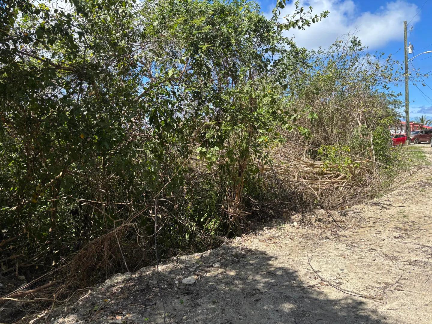 182 Morningstar Qu Lot — photo 3
