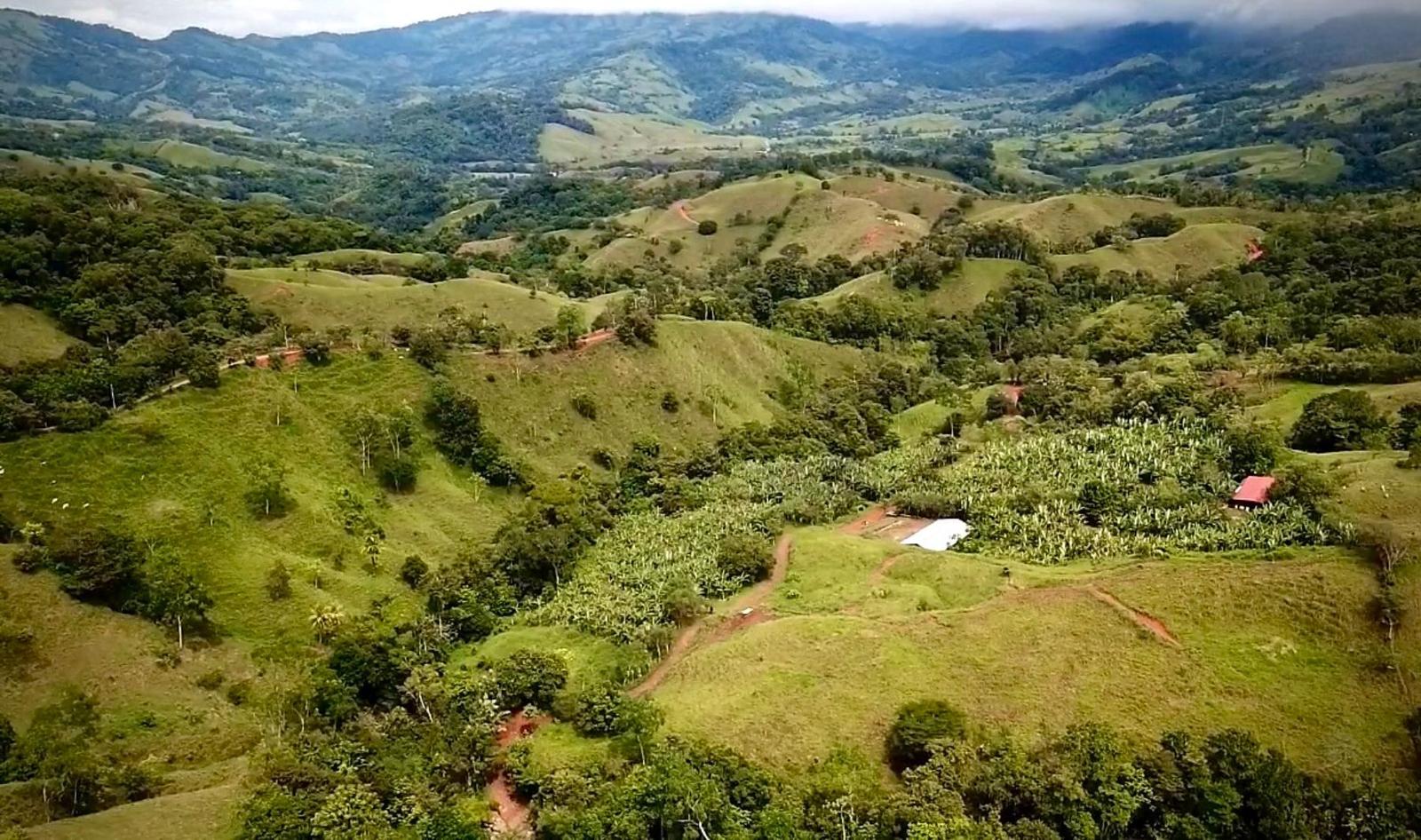 74 Acres of Farm for Sale in Platanillo, Costa Rica — photo 1