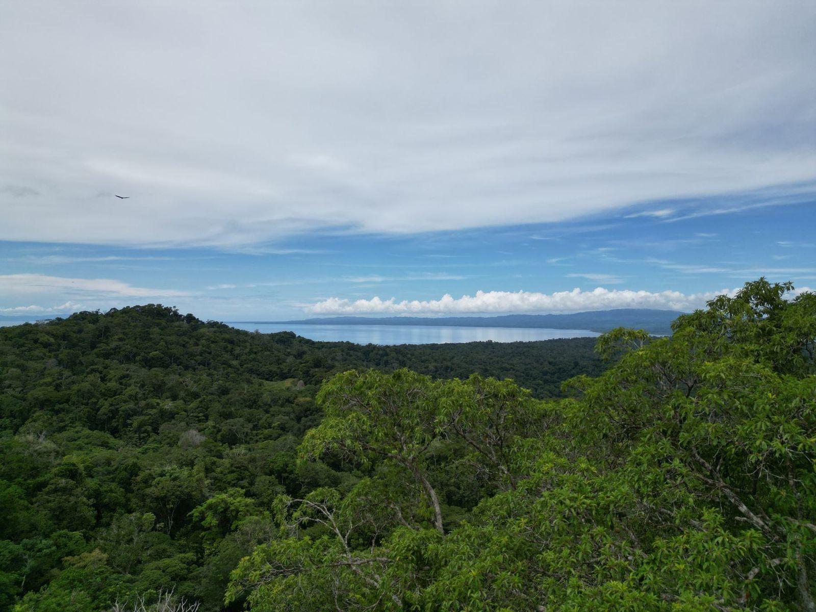 374 Acres of Land for Sale, Osa Peninsula — photo 1