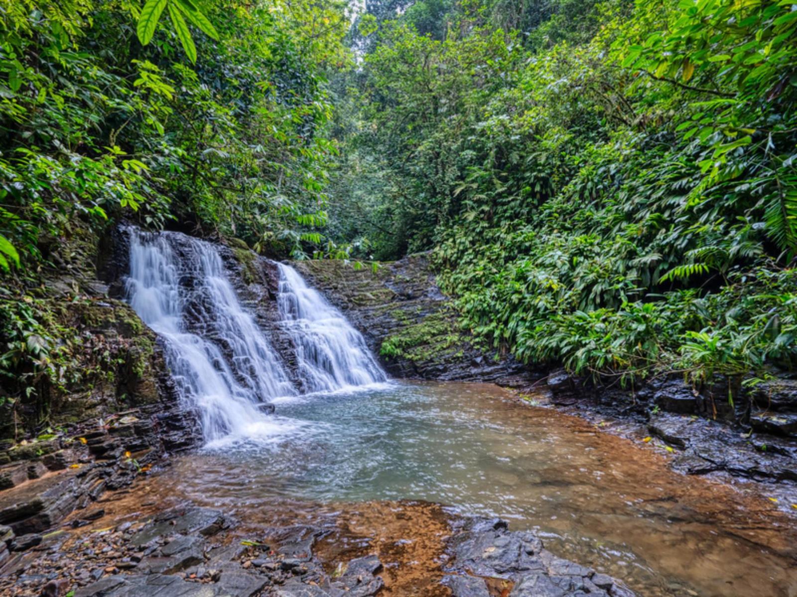 632.6 Acres of Land for Sale, Quepos, Puntarenas, Costa Rica — photo 5