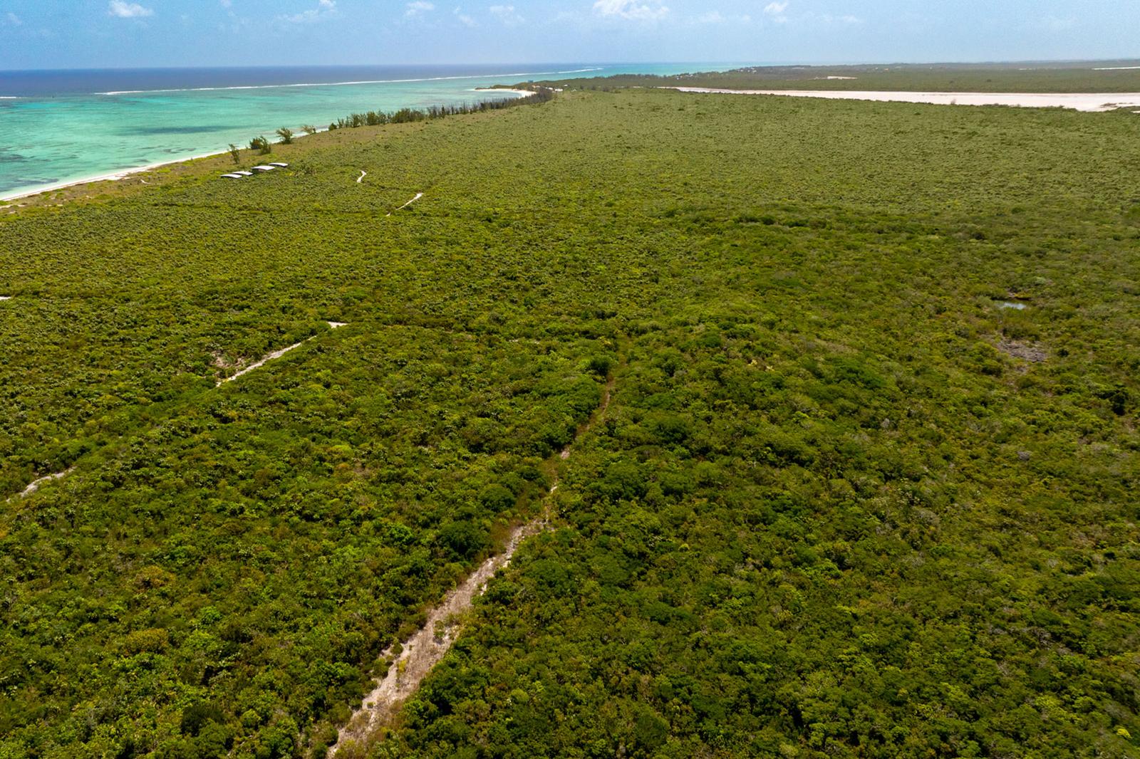 2-acre ocean view land in Three Mary Cays, North Caicos, Turks and Caicos Islands — photo 3